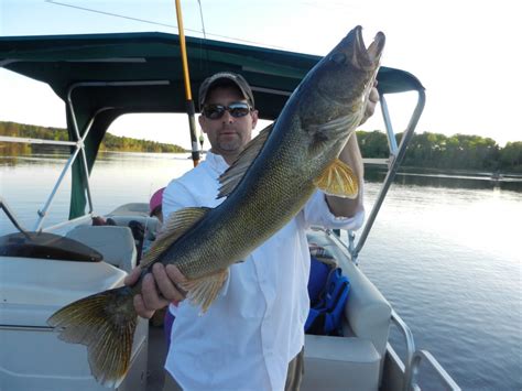 Fishing Resorts Minnesota-River Point Resort-Ely Minnesota