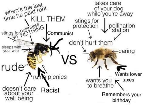 Virgin Wasp Vs Chad Bee (meme) : r/bees