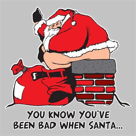 you know you have been bad when SANTA...!!!! | Funny cartoons jokes ...