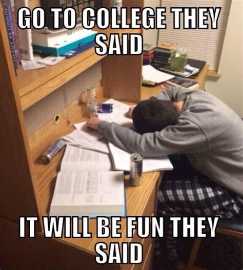 College Student on Twitter | College life humor, College humor, College memes