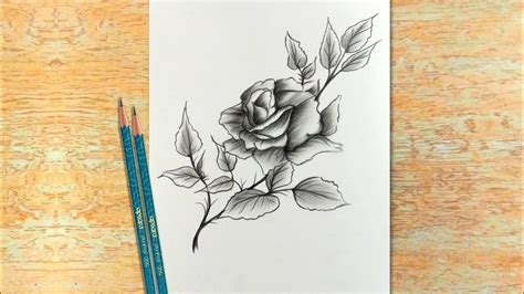 Creative Drawings Of Roses