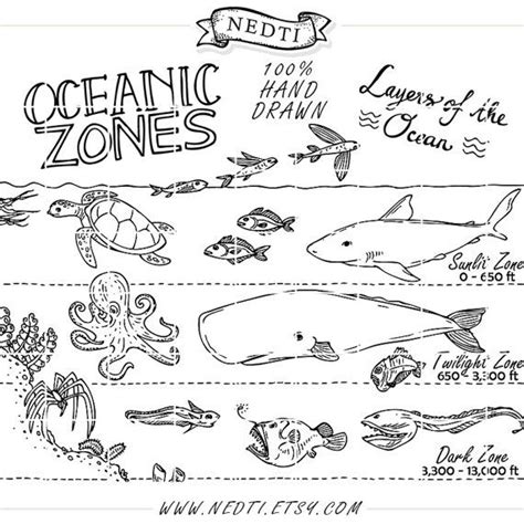 Ocean zones, Layers of the ocean, Earth science