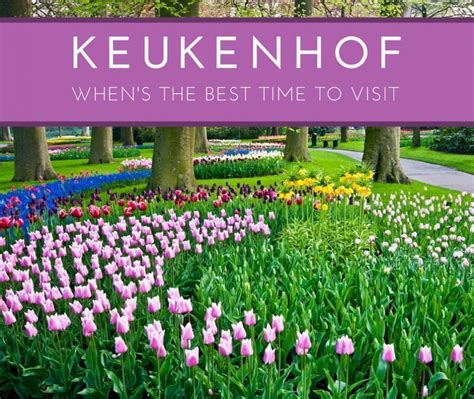 The Best Time to Visit Keukenhof Gardens, Lisse, The Netherlands