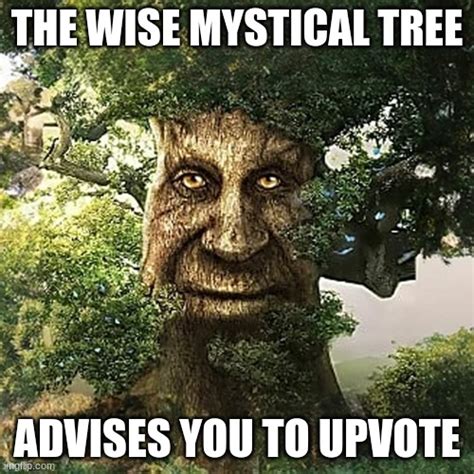 Wise Mystical Tree - Imgflip