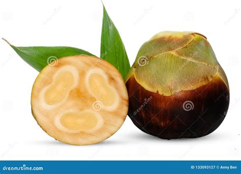 Palmyra Palm, Toddy Palm or Sugar Palm Fruit Isolated on White Stock Image - Image of delicious ...