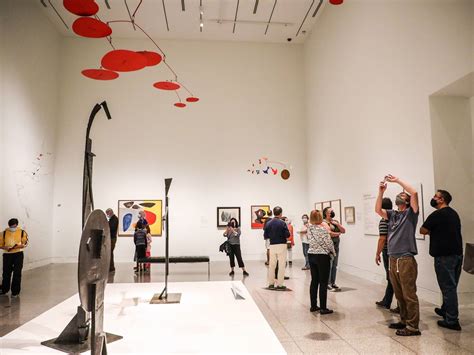 10 Best Museums in Houston