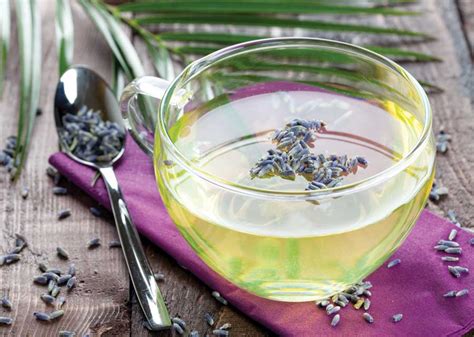 Buy Lavender Tea Benefits, How to Make, Side Effects | Herbal Teas Online