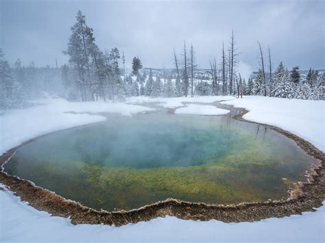 Yellowstone Winter Tours | Yellowstone in Winter Trips | Backroads