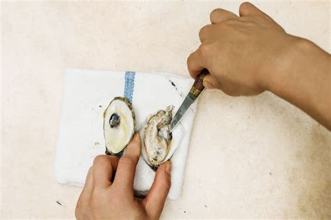 How to Shuck Oysters When There's Nobody Else to Shuck Them For You | Epicurious