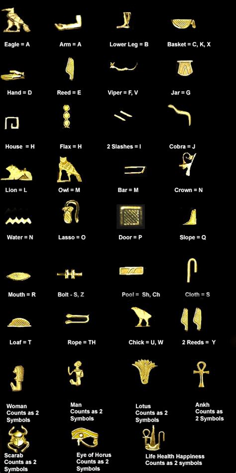 Hieroglyphic Alphabet, Hieroglyphic Typewriter and the Arabic Alphabet