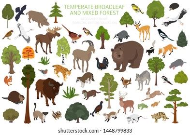 Examples Of Terrestrial And Aquatic Animals Clipart