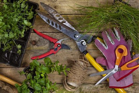 Gardening - Horticulture - Garden Tools Stock Photo - Image of horticulture, grass: 114220562