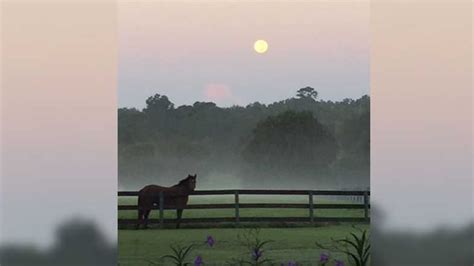 Viewers capture beautiful shots Harvest Moon across the country