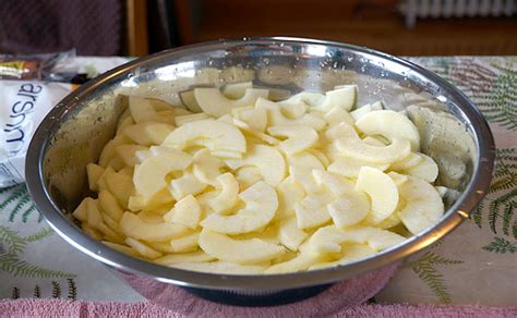 How To Dehydrate Apple Slices With A Dehydrator