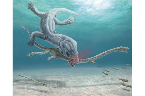 These long-necked reptiles were decapitated by their predators, fossil ...