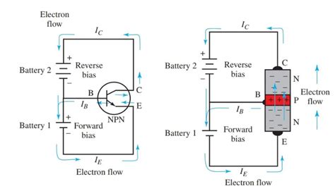 Transistor as an Amplifier: Working & Circuit | NPN Transistor Amplifier | Electrical Academia