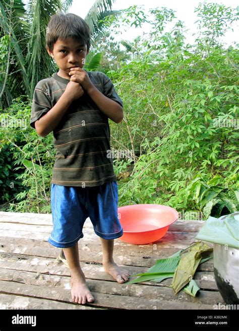 Amazon Rainforest Ecuador Stock Photo - Alamy