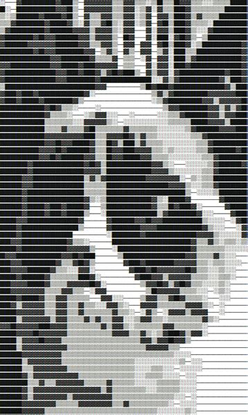 Cat Ascii Emoji