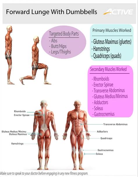 What Muscle Groups Do Lunges Work - Photos Idea