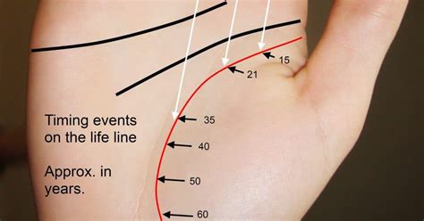 Timing on Life Line Guide Palmistry - Destiny Palmistry