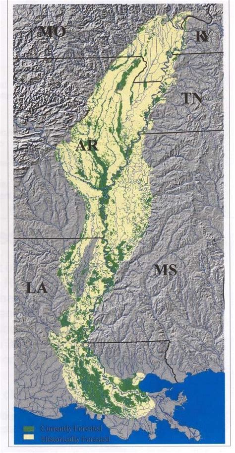 Lower Mississippi River floodplain (historic and current extents ...