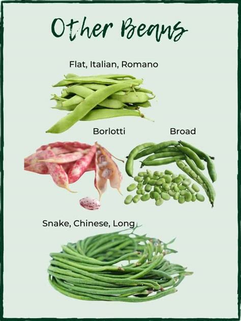 Green Beans - antioxidant rich & tasty! - Salads with Anastasia