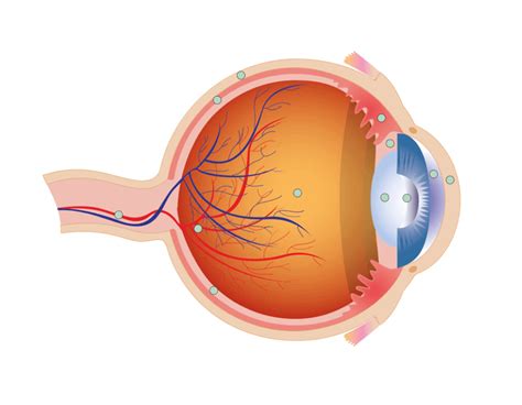 The Eye - Map Quiz Game - Seterra