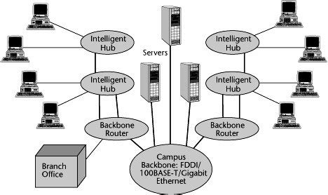 LAN Interconnection and Internetworking | Local Area Networking