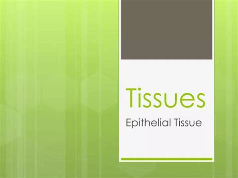 PPT - Tissues PowerPoint Presentation, free download - ID:5625045