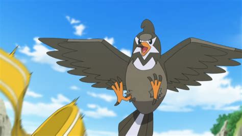 22 Fascinating And Fun Facts About Staravia From Pokemon - Tons Of Facts