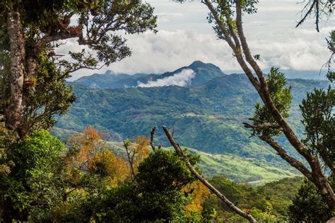 A first timer's guide to the Panama rainforest | Darien national park, Rainforest, Panama city ...