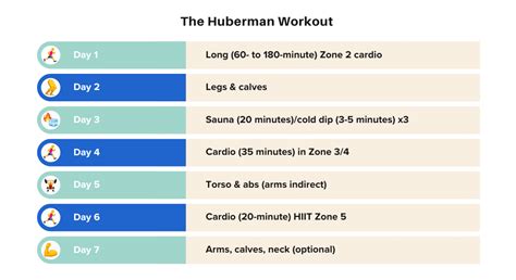 Andrew Huberman’s Fitness Routine: Live Longer and Build Muscle