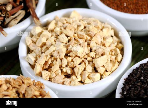 Ginger rhizome (Zingiberis rhizoma), Gan Jiang Stock Photo - Alamy