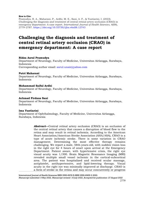 (PDF) Challenging the diagnosis and treatment of central retinal artery ...