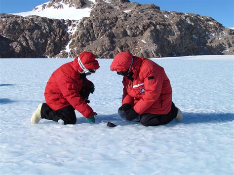 Do More Meteorites Fall on Antarctica? | Discover Magazine