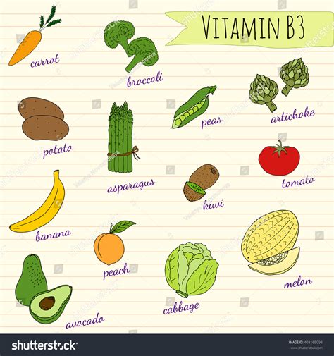 Vegetables Fruits High Content Vitamin B3 Stock Vector 403165093 - Shutterstock