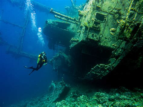 Diving the Red Sea in Aqaba with Deep Blue Dive Center • The Blonde Abroad