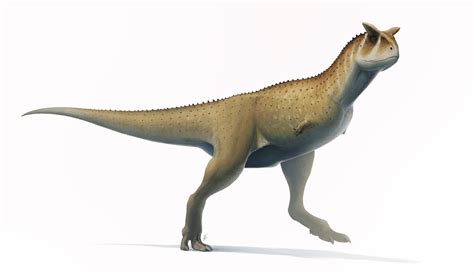 Carnotaurus for Wikipedia by FredtheDinosaurman on DeviantArt