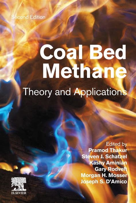 Coal Bed Methane: Theory and Applications, 2nd Edition - SoftArchive