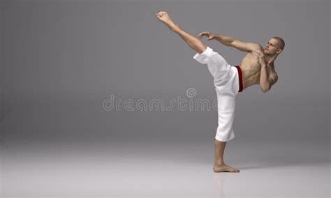 3D Render : a Man Perform High Kick Action with Martial Arts Styles Stock Illustration ...