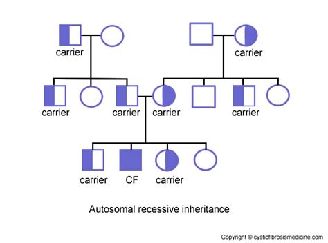 Genetics – Cystic Fibrosis Medicine