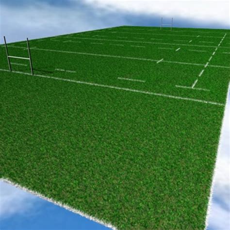 3d Model Rugby Field Grass