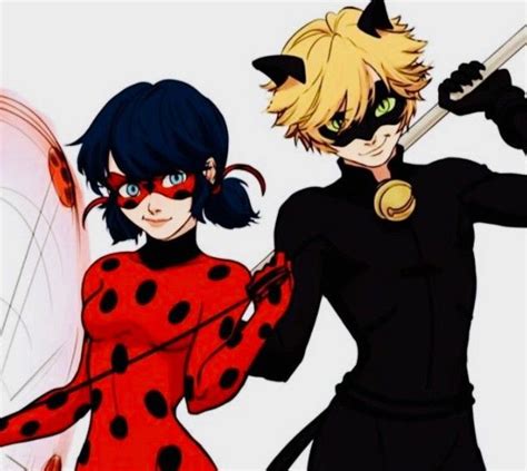 Ladybug and Cat Noir from Miraculous Ladybug and Cat Noir | Miraculous ladybug comic, Miraculous ...