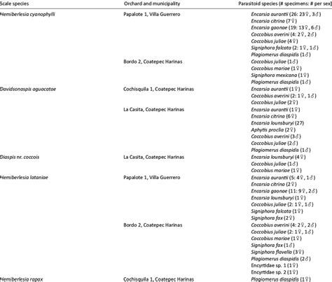 Armored scales, distribution, and abundance of parasitoid species in... | Download Scientific ...