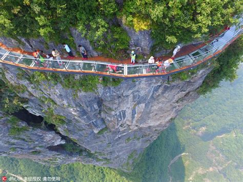 Real thrill: Aerial pic shows a 100m-long, 1.6m-wide glass skywalk opened to visitors in C China ...