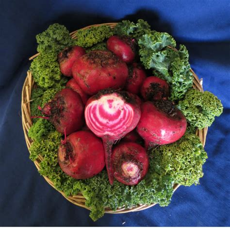 Chioggia Beets 3b | Recipes from Nash's Organic Produce