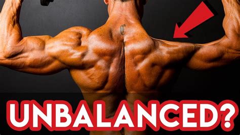 Fix Your Muscle Imbalance (3 SIMPLE FIXES!) | Muscle imbalance ...