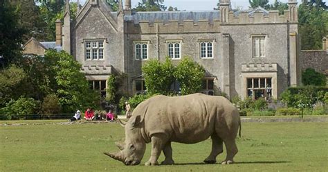 Days Out: Cotswold Wildlife Park and Gardens - Birmingham Live