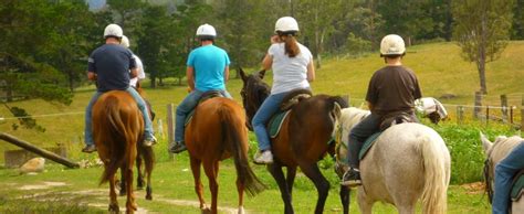 The 10 Best Horseback Riding Lessons Near Me (2024)