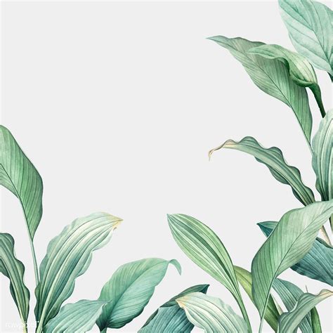 Hand drawn tropical leaves on a white background vector | premium image by rawpixel.com | Leaf ...